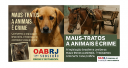 Maus-Tratos a Animais: É Crime e Você Pode Denunciar!