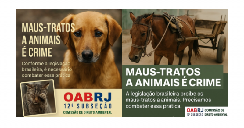 Maus-Tratos a Animais: É Crime e Você Pode Denunciar!