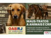 Maus-Tratos a Animais: É Crime e Você Pode Denunciar!